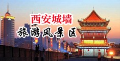 下载猛操美女骚逼视频中国陕西-西安城墙旅游风景区
